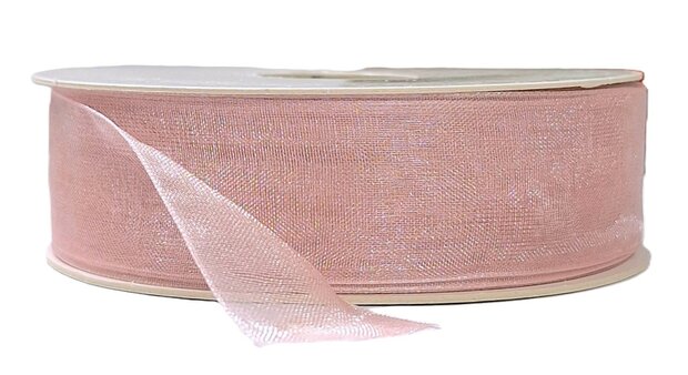 Organza nude 25mm