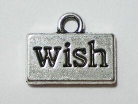 Wish bedeltjes zilver, 18mm