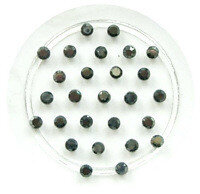 ss10 rhinestone Antraciet hotfix